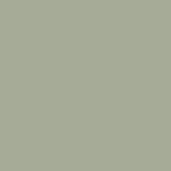 IJA Light Grey Green 18 ml 