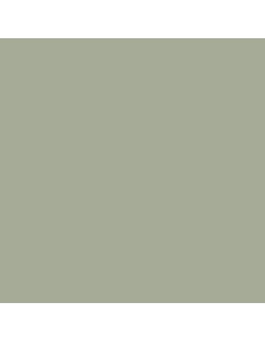 IJA Light Grey Green 18 ml 