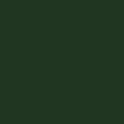 Dark Green 18 ml 