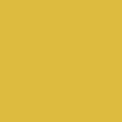 Polished Gold 18 ml 