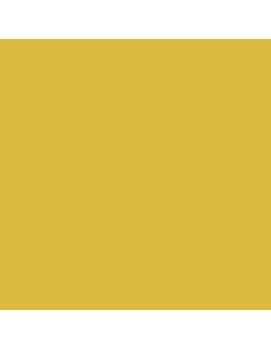 Polished Gold 18 ml 