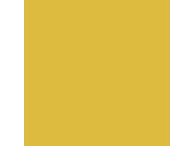 Polished Gold 18 ml 