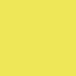 Fluorescent Yellow 18 ml 