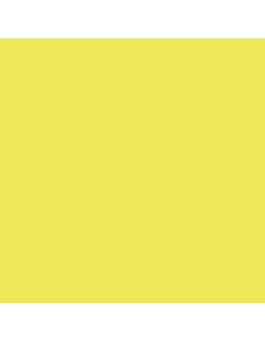 Fluorescent Yellow 18 ml 