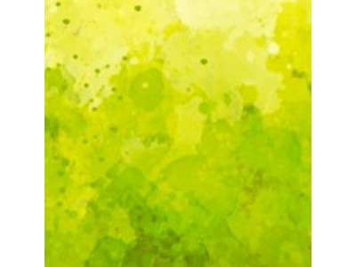 Bile 18 ml 