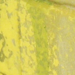 Moss and Lichen 18 ml 