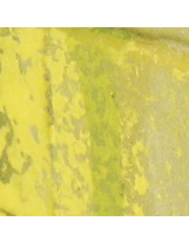 Moss and Lichen 18 ml 