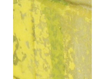 Moss and Lichen 18 ml 
