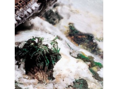 Snow 40 ml 