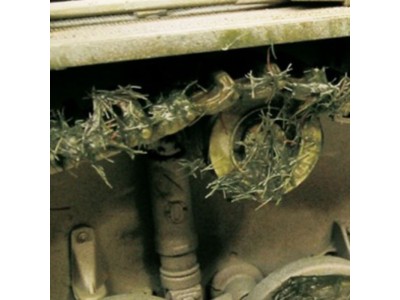 Crushed Grass 40 ml 