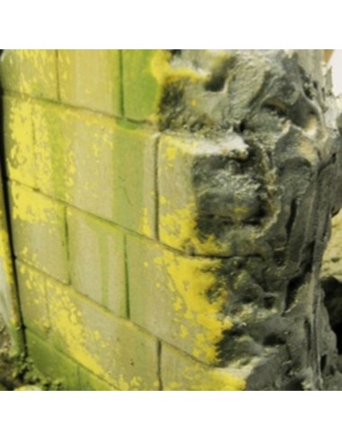 Moss and Lichen Effect 40 ml 