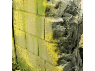 Moss and Lichen Effect 40 ml 