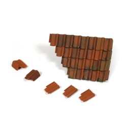 Damaged Roof Section and Tiles 