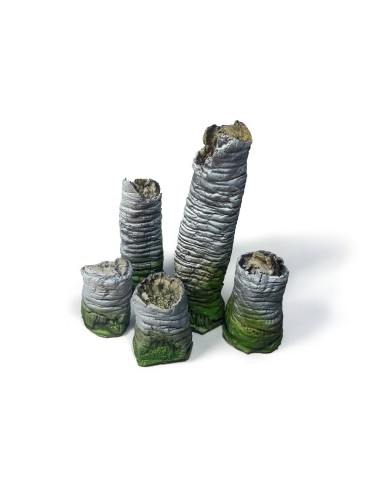 Broken Palm Trunks 