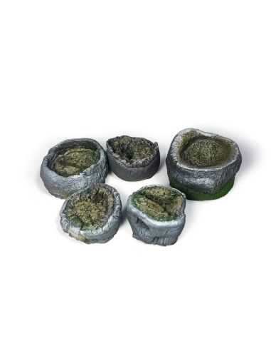 Palm Stumps 