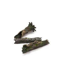 Fallen Logs 