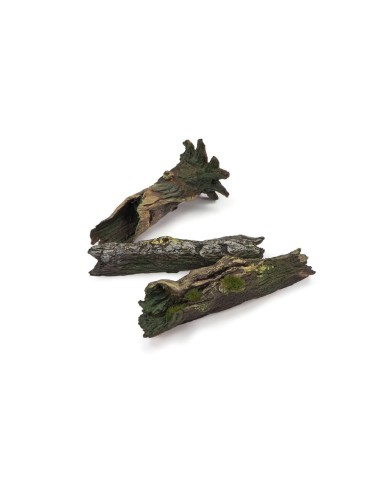 Fallen Logs 