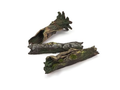 Fallen Logs 