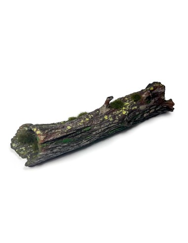 Large Fallen Trunk 