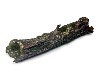Large Fallen Trunk 