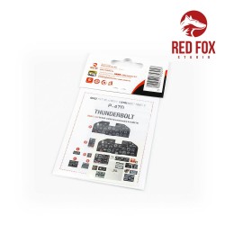1/24 P-47D Thunderbolt (for Kinetic kit) 