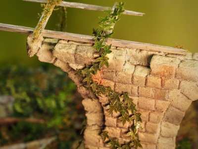 Plants & Weeds A 