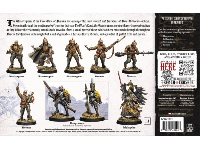 Prussian Stosstruppen Warband 