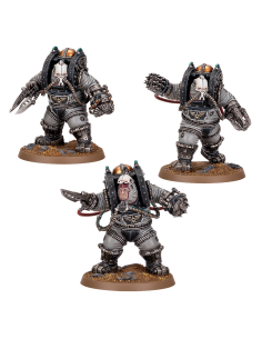 SOLAR AUXILIA: CHARONITE OGRYN SECTION
