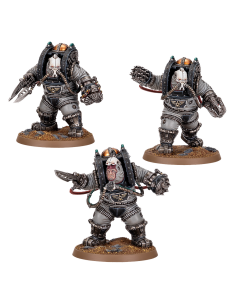 SOLAR AUXILIA: CHARONITE OGRYN SECTION