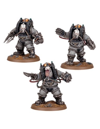 SOLAR AUXILIA: CHARONITE OGRYN SECTION