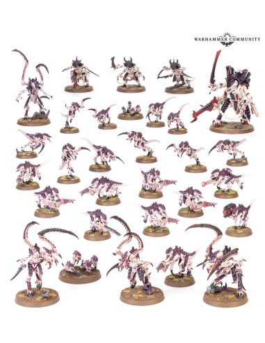 TYRANIDS: ESSAIM TYRANIDE