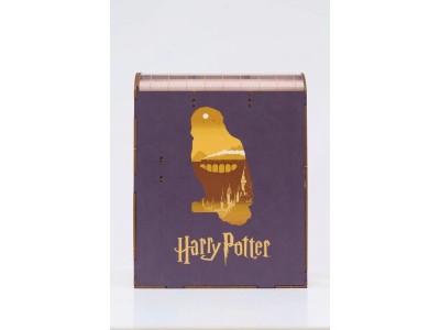 HARRY POTTER - BOOK NOOK KIT -Poudlard Express - 238pc + Eclairage LED 