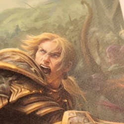 WORLD OF WARCRAFT - Sylvanas vs Anduin - Art Print - Edition Limitée  2