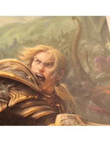 WORLD OF WARCRAFT - Sylvanas vs Anduin - Art Print - Edition Limitée 