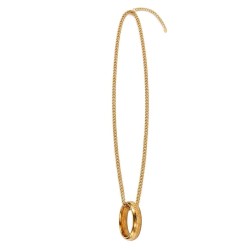 LE SEIGNEUR DES ANNEAUX - Collier dans son écrain  2