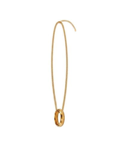 LE SEIGNEUR DES ANNEAUX - Collier dans son écrain 