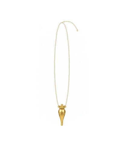 HARRY POTTER - Collier dans son écrain 