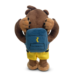 BANJO KAZOOIE - Banjo Kazooie dort - Peluche Youtooz 23cm  2