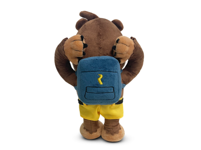 BANJO KAZOOIE - Banjo Kazooie dort - Peluche Youtooz 23cm 