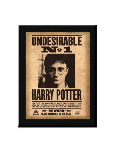 HARRY POTTER - Plaque Murale Indesirable N°1 