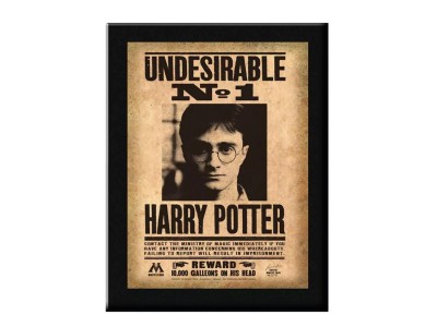 HARRY POTTER - Plaque Murale Indesirable N°1 