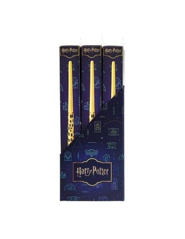 HARRY POTTER - Présentoir 12 Baguettes Role Play 