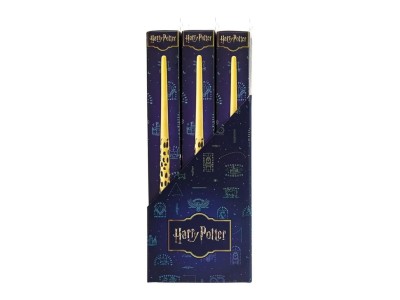 HARRY POTTER - Présentoir 12 Baguettes Role Play 