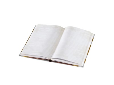 MINECRAFT - Journal - Journal d'enchantement 