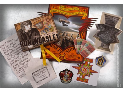 HARRY POTTER - Boite D'Artefacts Ron Weasley (UK) 