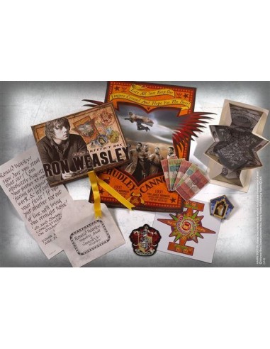 HARRY POTTER - Boite D'Artefacts Ron Weasley (UK) 