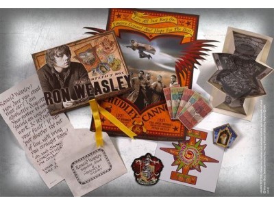 HARRY POTTER - Boite D'Artefacts Ron Weasley (UK) 