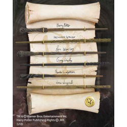 HARRY POTTER - Collection de Baguettes de L'armée de Dumbledore 