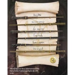 HARRY POTTER - Collection de Baguettes de L'armée de Dumbledore  2
