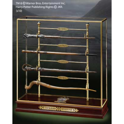 HARRY POTTER - Les Champions du Tournoi des 3 Sorciers - Vitrine 